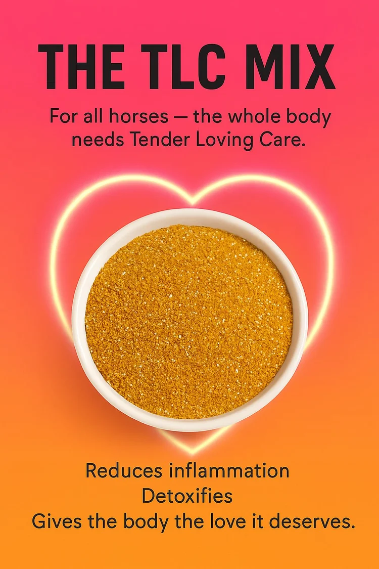 3233381A-8691-4FF2-B3DE-087245430AA9