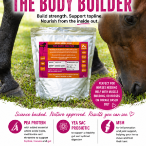 The Body Builder