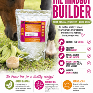 The Hindgut Builder