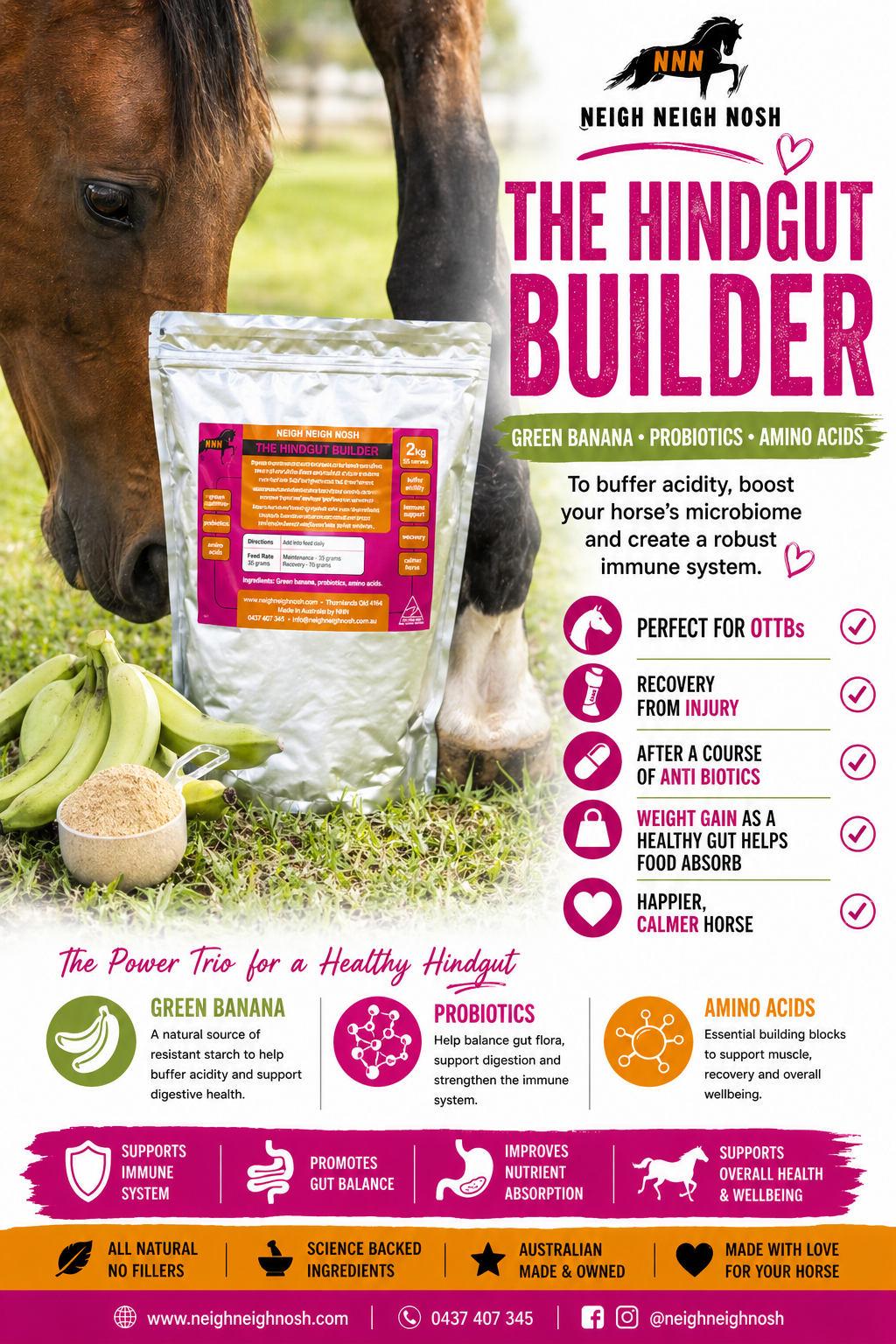 hindgut builder