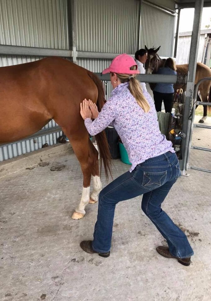 horse massage