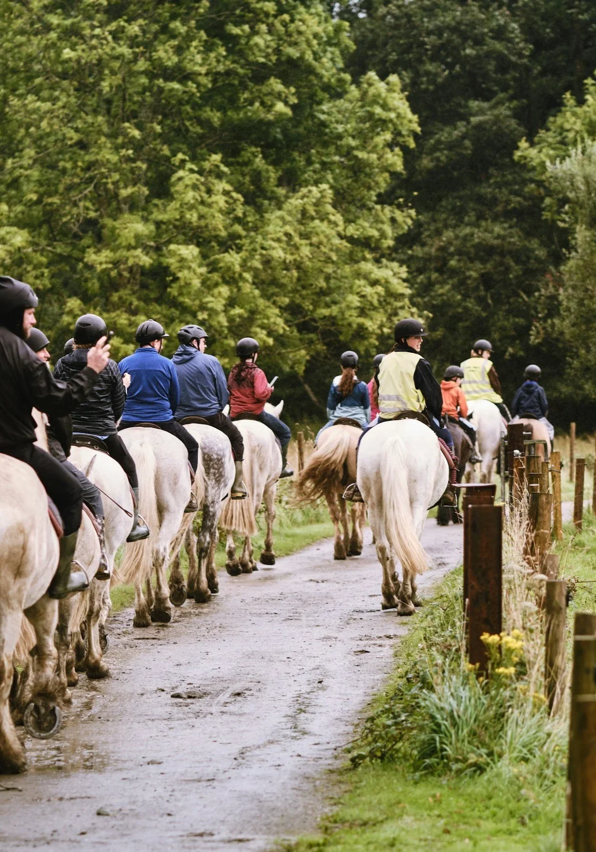 unsplash-image-AOxmZUVlIB4